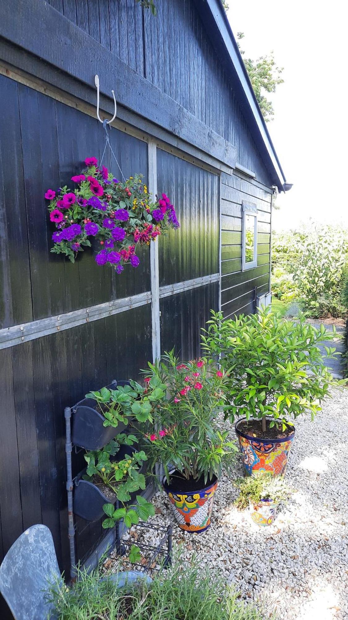 Vakantiehuis Onder De Peppel Met Sauna En Jacuzzi Wijk en Aalburg エクステリア 写真